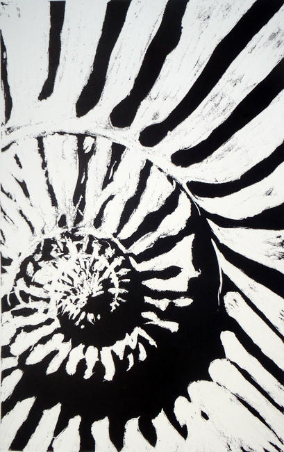 Ammonite I