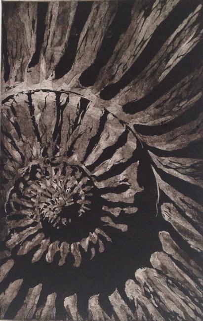 Ammonite II