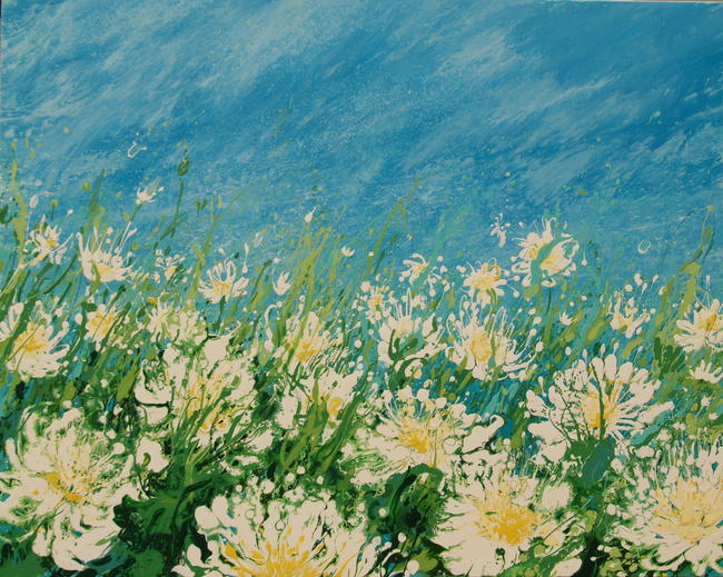 big daisy meadow