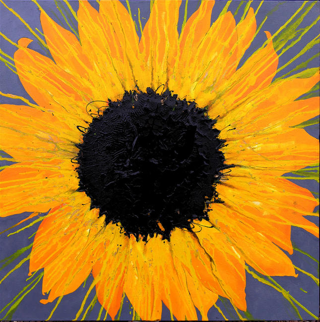 Sunflower Spin No. 1