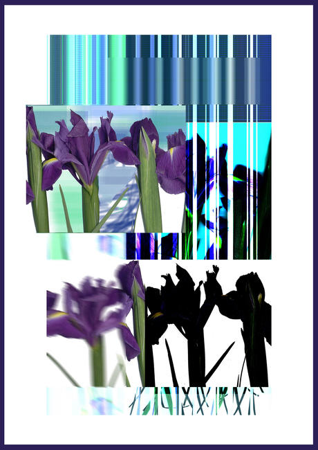 Iris Scandal lim.ed.print