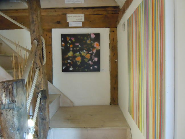 in Beetroot Tree Gallery 2012