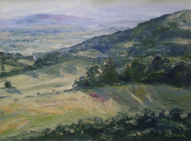 towards-crickley-hill