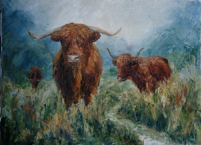 Highland Cattle