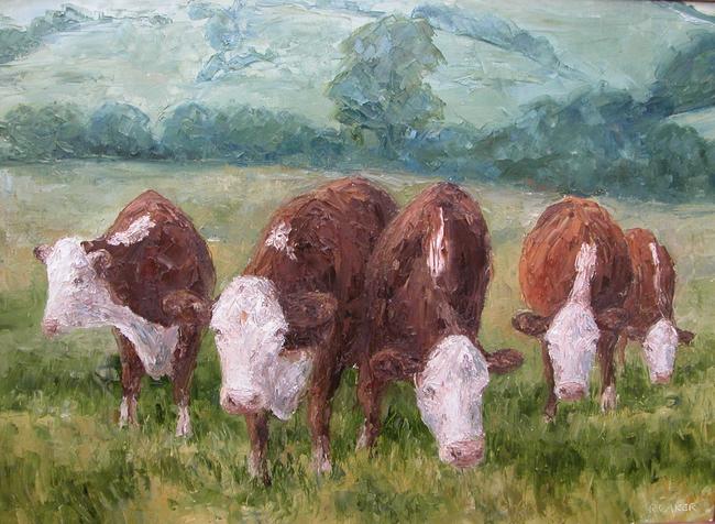 Hereford Cattle