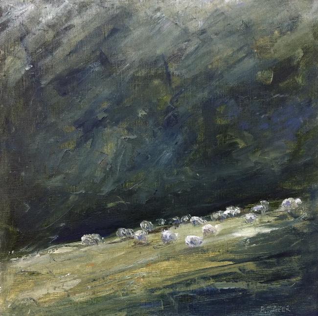 Daylesford sheep