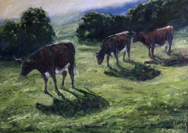 Gloucester cows