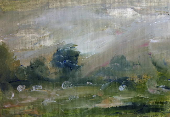 Sheep study
