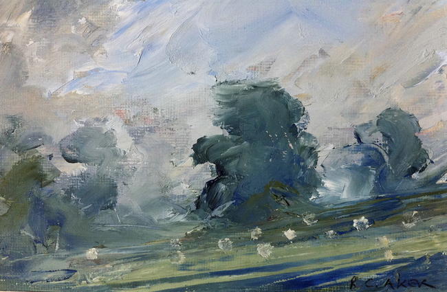 Sheep, rain study