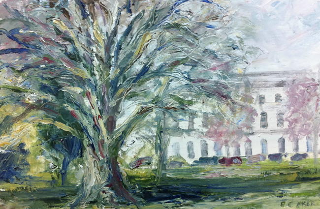 Montpellier Gardens