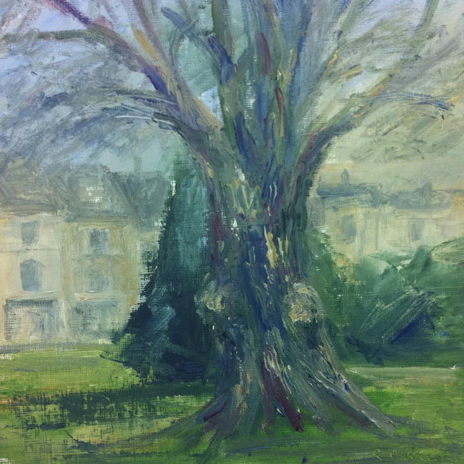 Montpellier Gardens Beech