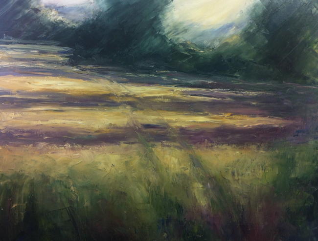 Cornfield evening