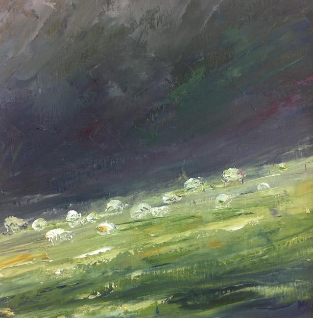 Sheep Lower Swell