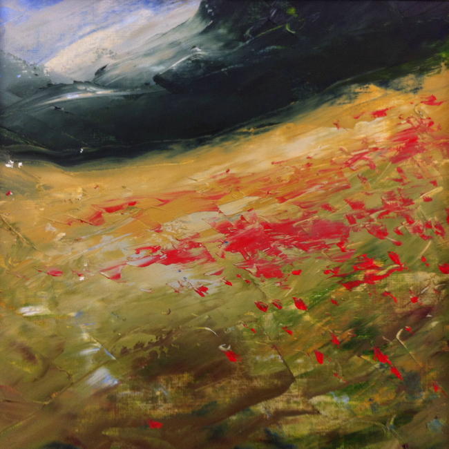 Poppy field