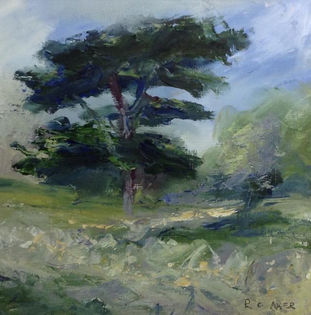 Cedar