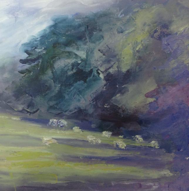 Sheep, shadows