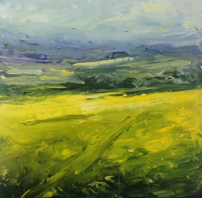 Oilseed on Cotswold