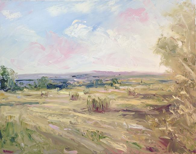 Barrington Downs