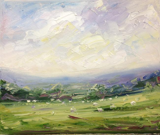 Cotswold sheep