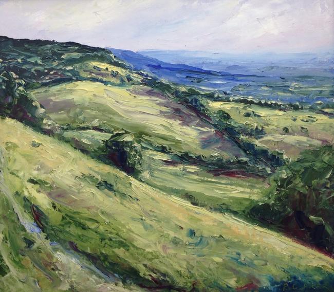 Barrow Wake