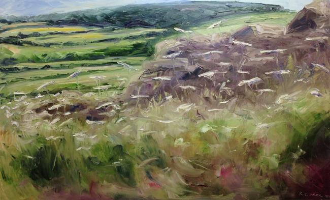 Cotswold wall at Great Barrington