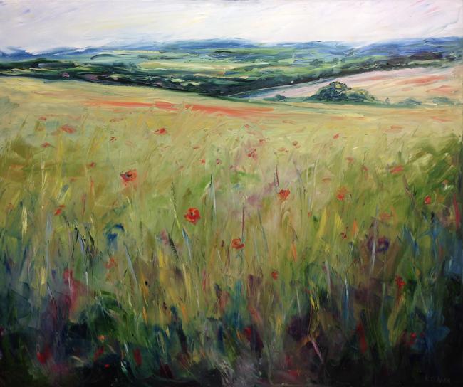 Fields bloom red