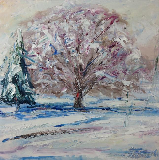 Montpellier beech, winter