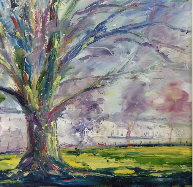 Montpellier beech, spring