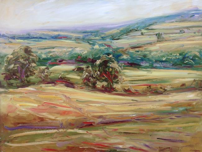Summer fields, Guiting Power