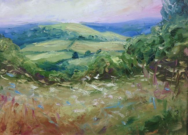 Swifts Hill from Slad