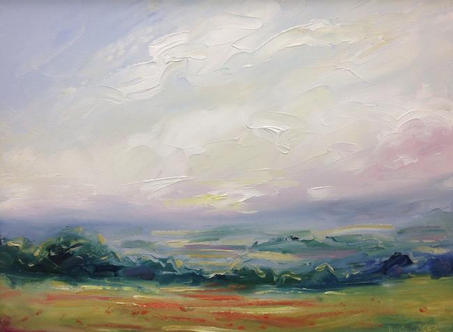 Poppies, sunset