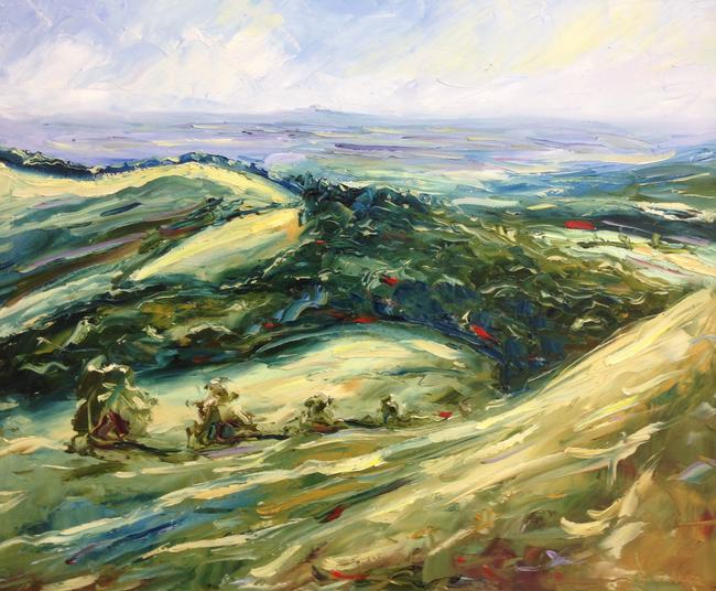 Painswick Beacon towards May Hill