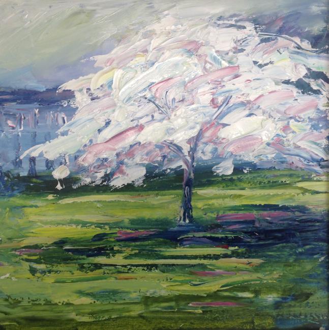 Cherry Blossom, Imperial Gardens