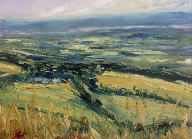 From Rodborough Common