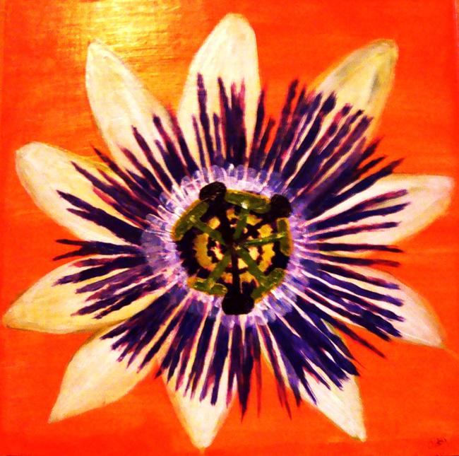 Passion Flower