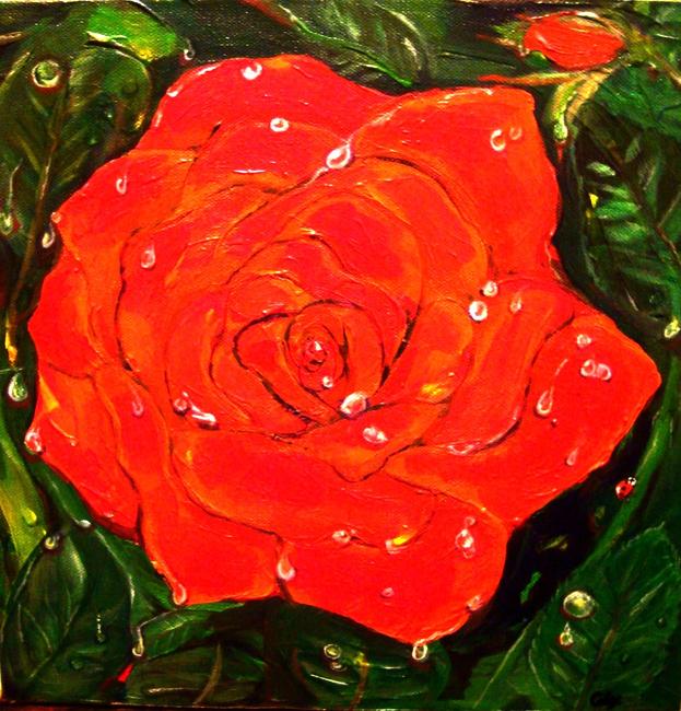 Rainy Rose.