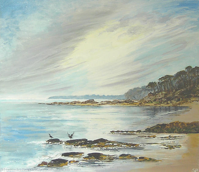 Cormorants on the Rocks