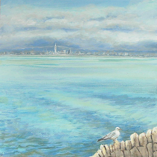 Seagull on the Sea Wall