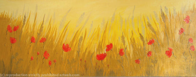 Gold Poppy Field