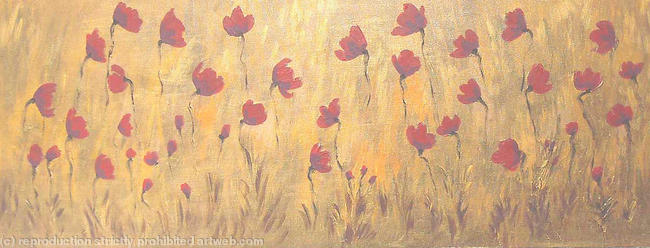 Dusky Poppy field