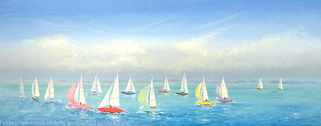Mermaid Yachts Sailing Race