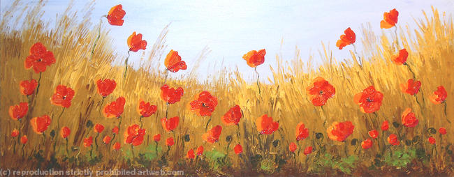 Natural Poppy Field2
