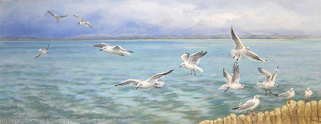 Seagull's Flight