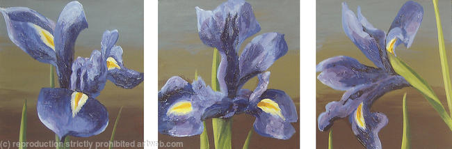 Irises Triptych