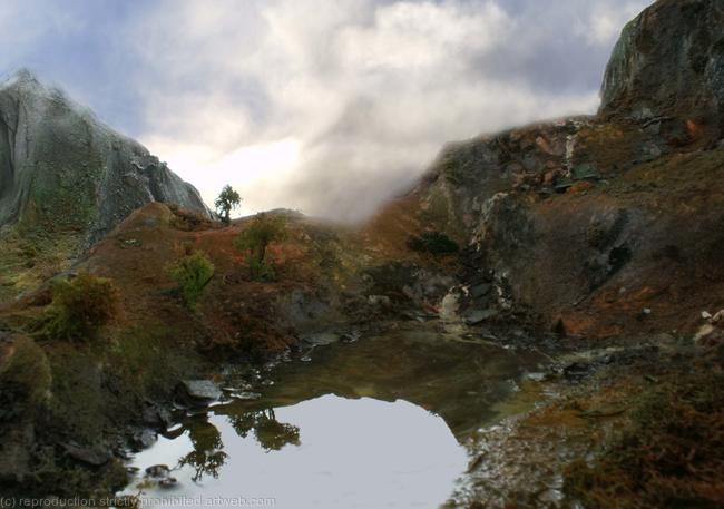 Photograph 4