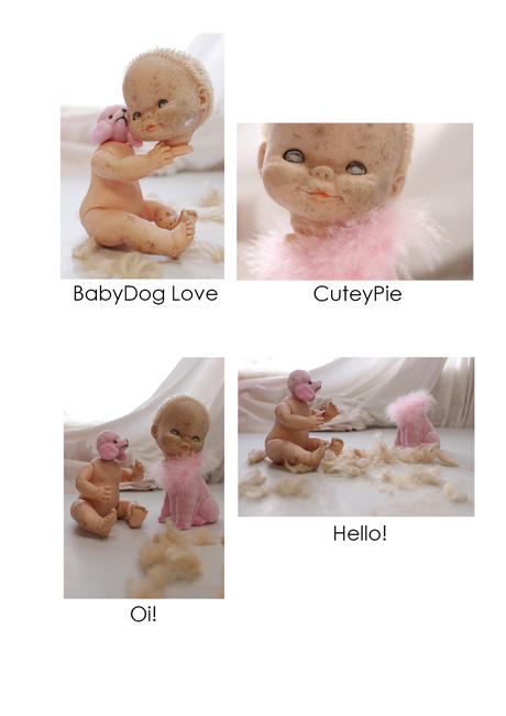BabyDog Conception Card Pack 3