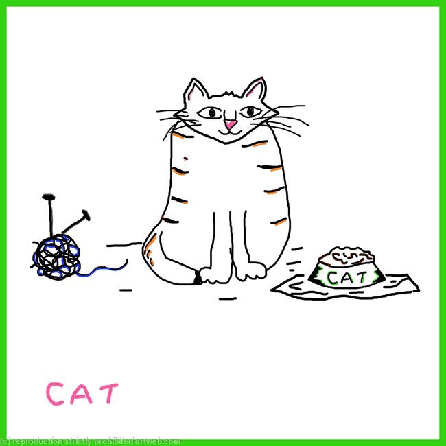 cat