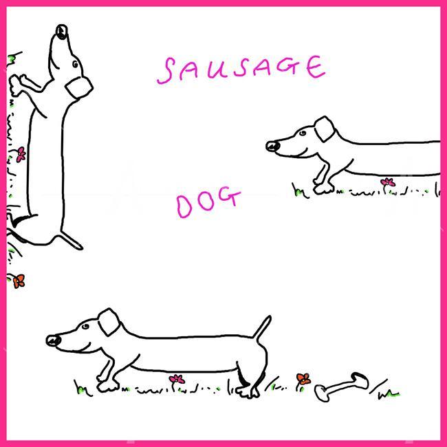sausage dog
