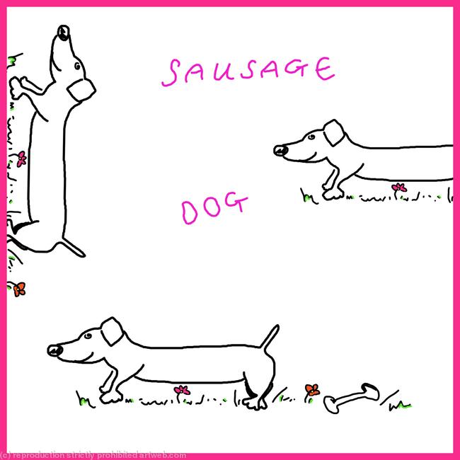 Sausage dog