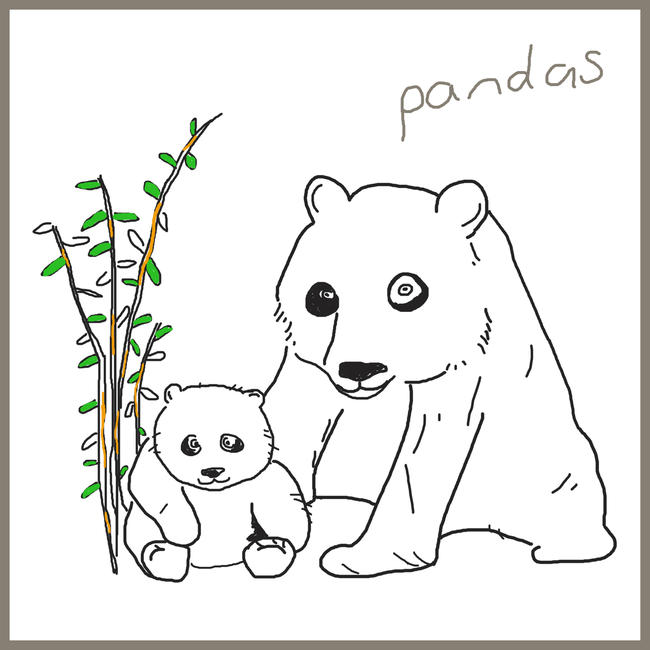 Panda